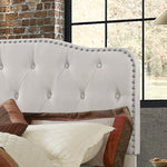Modern Upholstered Full Panel Bed Frame with Button Tufting and Nailhead Trim (B87,B88,B102) by Quality Living Furniture