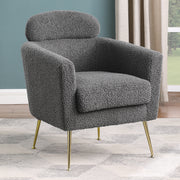 Luxury Leisure Accent Chair (AC165-7)
