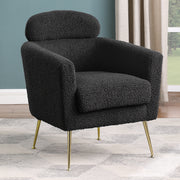 Luxury Leisure Accent Chair (AC165-7)