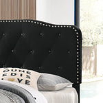Modern Upholstered Full Panel Bed Frame with Button Tufting and Nailhead Trim (B87,B88,B102) by Quality Living Furniture