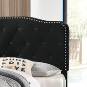 Modern Upholstered Full Panel Bed Frame with Button Tufting and Nailhead Trim (B87,B88,B102) by Quality Living Furniture