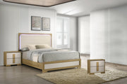 B780 Nordic Oasis Modern Two-Tone Nightstand, Scandinavian Natural Wood & White Bedside Table