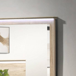 LED Lighted Natural Wood Dresser with Mirror and Chest (B831) by Quality Living Furniture