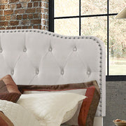 Modern Upholstered Full Panel Bed Frame with Button Tufting and Nailhead Trim (B87,B88,B102) by Quality Living Furniture